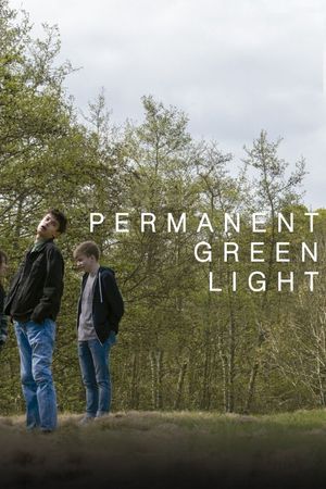 Permanent Green Light's poster