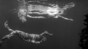 Creature from the Black Lagoon's poster