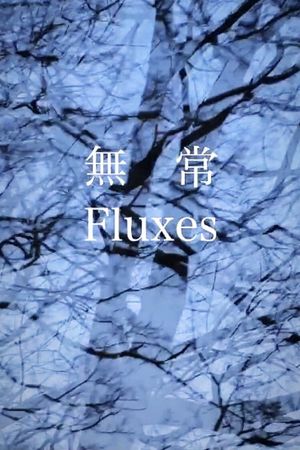 FLUXES's poster