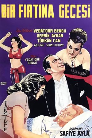 A Stormy Night's poster