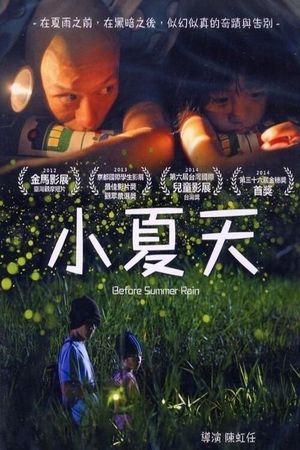 Before Summer Rain's poster