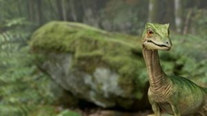 Planet Deutschland - 300 Millionen Jahre's poster