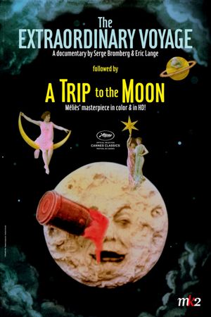 The Extraordinary Voyage's poster