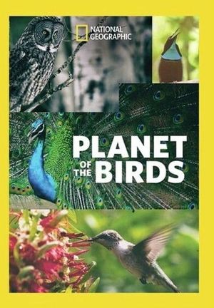 Planet of the Birds's poster