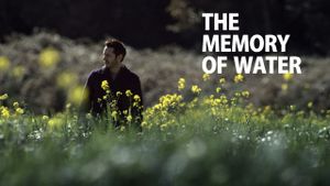The Memory of Water's poster