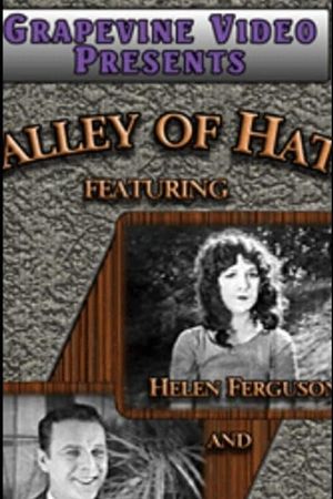 Valley of Hate's poster