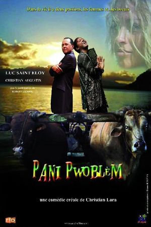 Pani pwoblem's poster