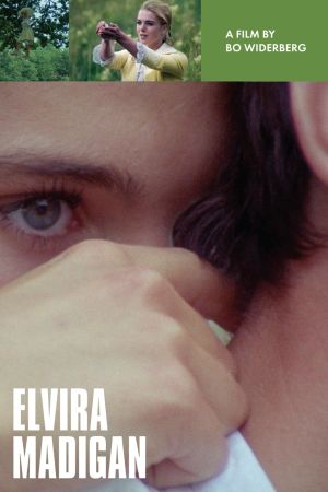 Elvira Madigan's poster