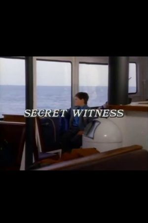 Secret Witness's poster