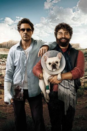 Due Date's poster