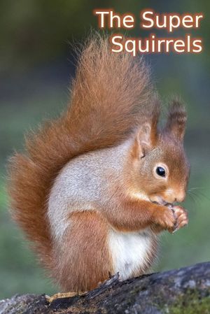 The Super Squirrels's poster