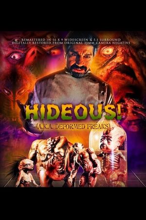 Hideous!'s poster