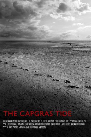 The Capgras Tide's poster