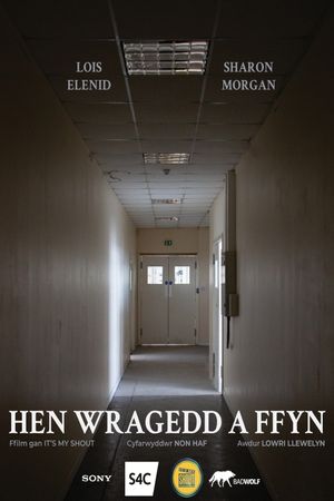 Hen Wragedd a Ffyn's poster image