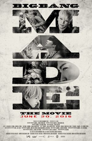 Big Bang Made the Movie's poster