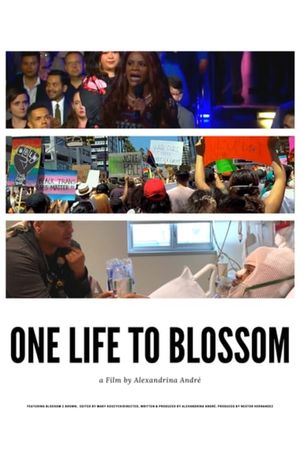 One Life to Blossom's poster