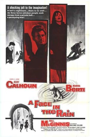 Face in the Rain's poster image