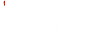 Jawan's poster