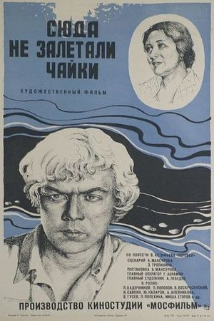 Syuda ne zaletali chayki's poster