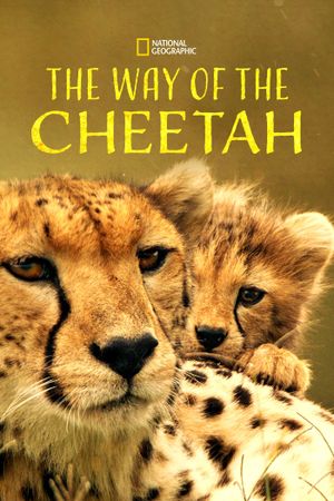 The Way of the Cheetah's poster