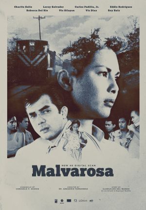 Malvarosa's poster