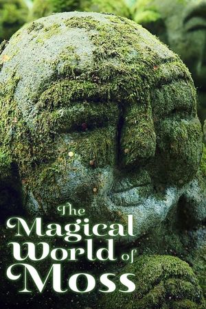 The Magical World of Moss's poster