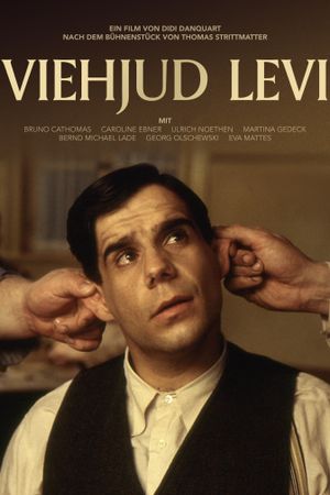 Viehjud Levi's poster