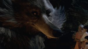 My Family and the Wolf's poster
