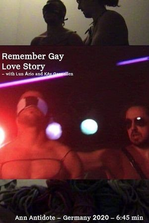 Remember Gay Love Story's poster