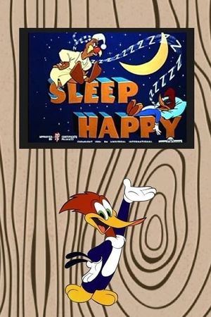 Sleep Happy's poster