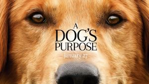 A Dog's Purpose's poster