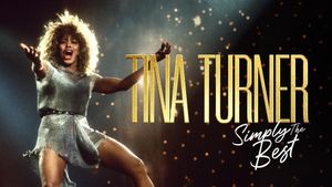 Tina Turner: Simply the Best - The Video Collection's poster
