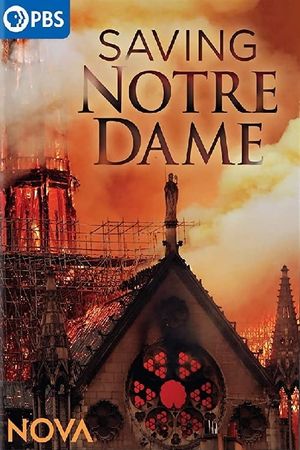 Rebuilding Notre-Dame: Inside the Great Cathedral Rescue's poster