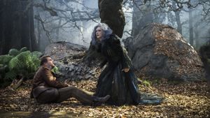 Into the Woods's poster