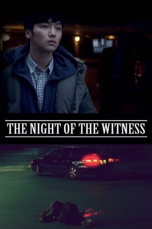 The Night of the Witness's poster