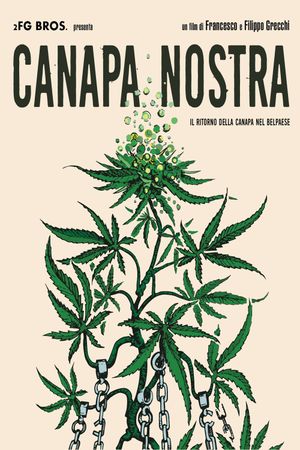 Canapa nostra's poster