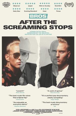 After the Screaming Stops's poster