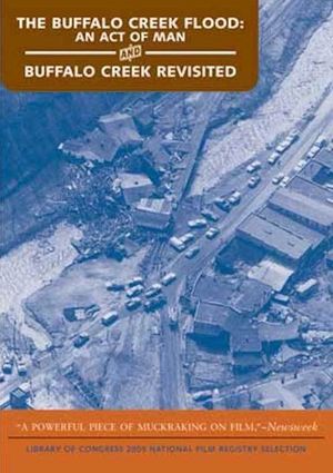 The Buffalo Creek Flood: An Act of Man's poster