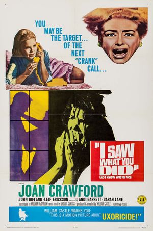 I Saw What You Did's poster