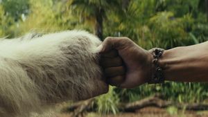 Rampage's poster