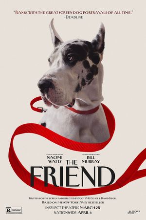 The Friend's poster