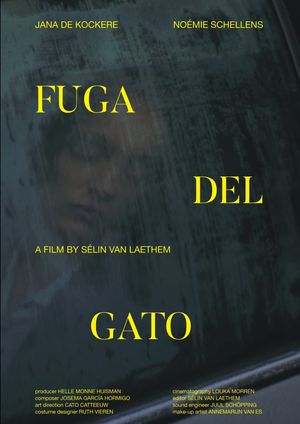 Fuga Del Gato's poster