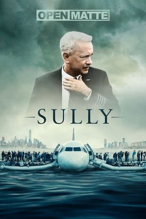 Sully's poster