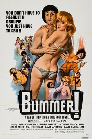 Bummer's poster