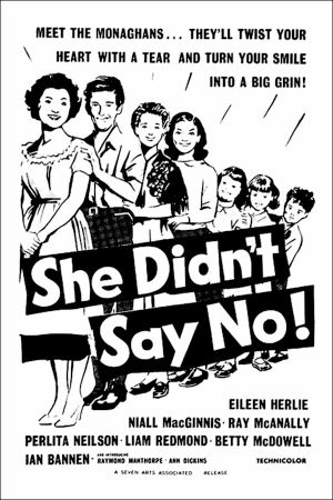She Didn't Say No's poster