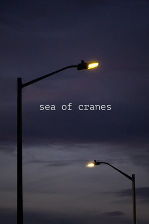 Sea of Cranes's poster