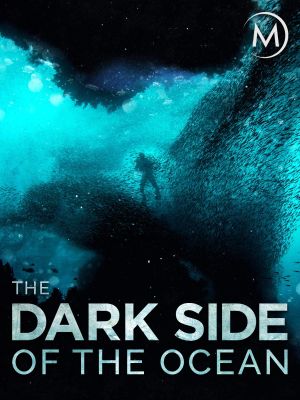 The Dark Side of the Ocean's poster image