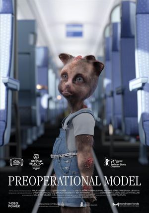 Preoperational Model's poster