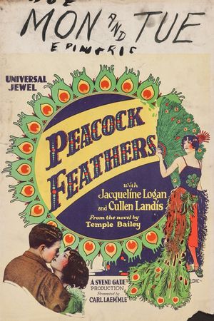 Peacock Feathers's poster