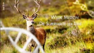 Wild Medicine: Animals' Superpowers's poster